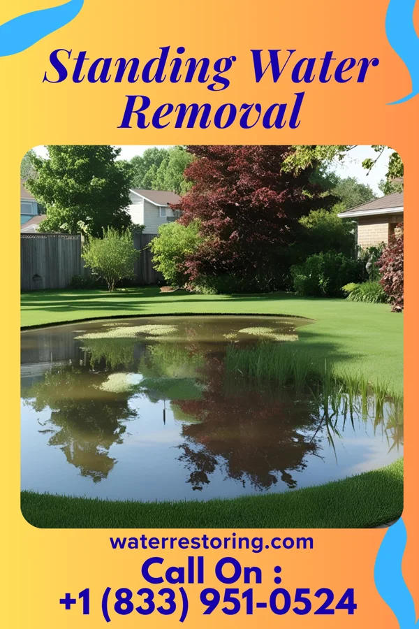 Standing Water Removal in Lacy-Lakeview, TX